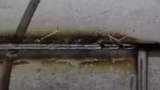 氣孔